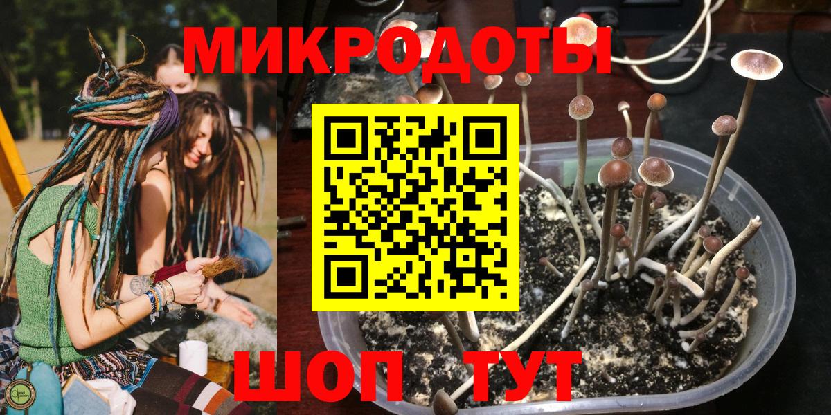 Скопин  где купить наркоту  Галлюциногенные грибы Psilocybine cubensis  Вход с VPN  Галлюциногенные грибы Psilocybe 